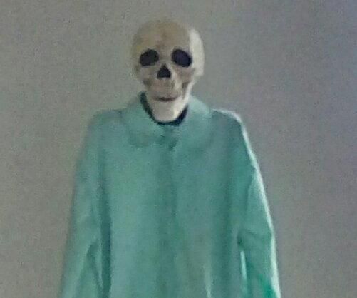 Creepy Stand-up Skeleton Prop