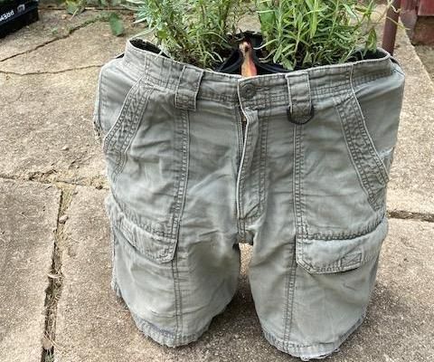 Shorts Plant Stand