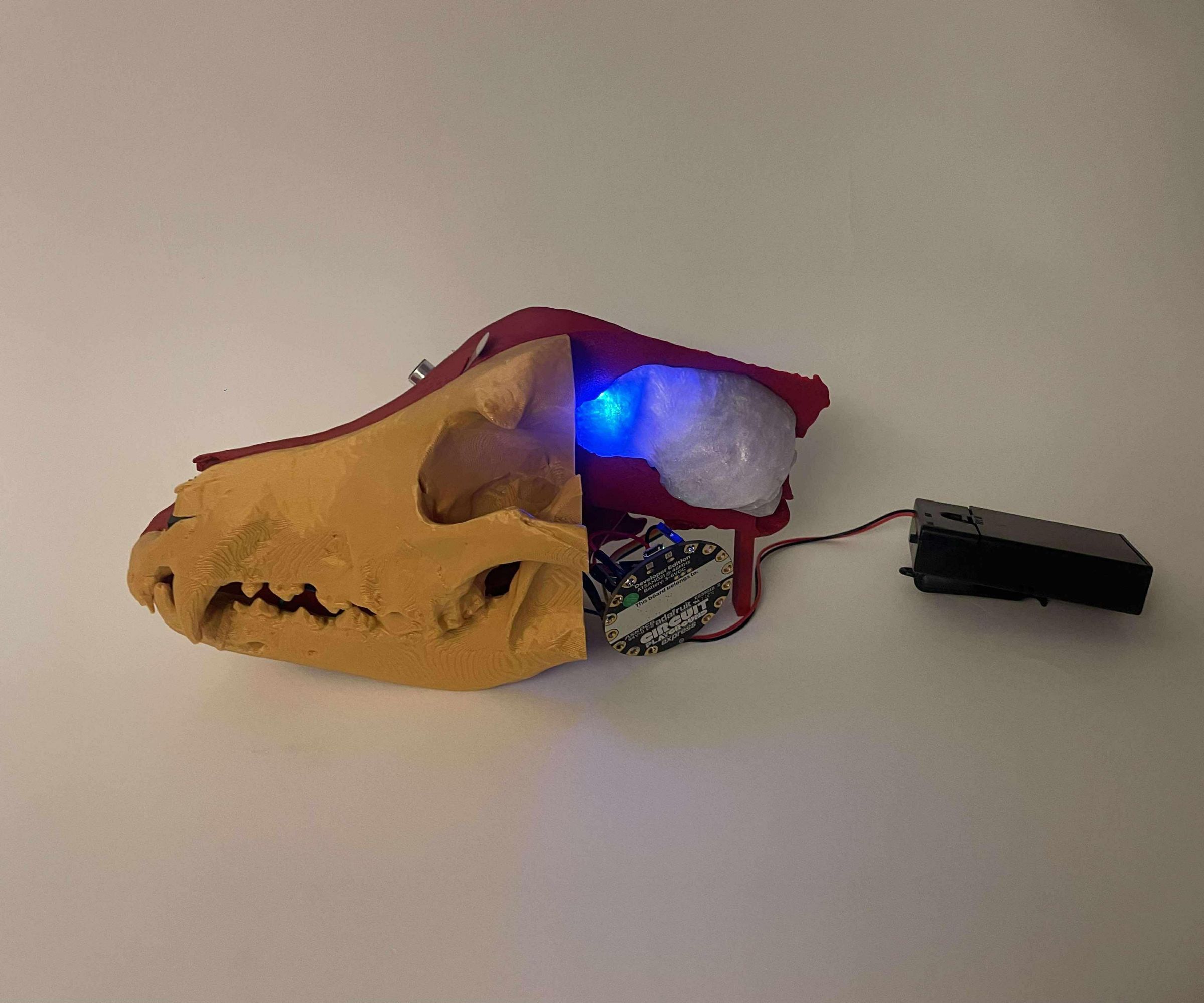 Interactive Dog Skull Prototype