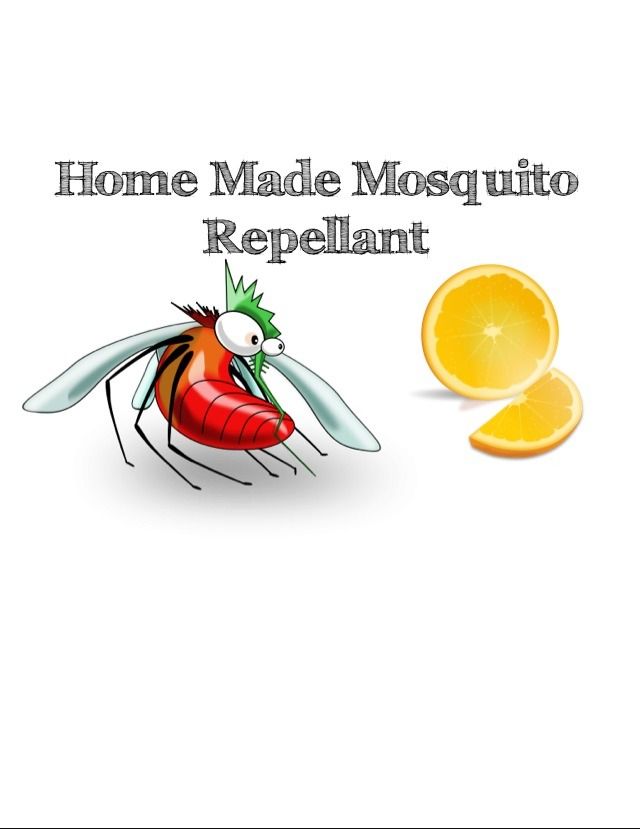 Home Made Mosquito Repelant