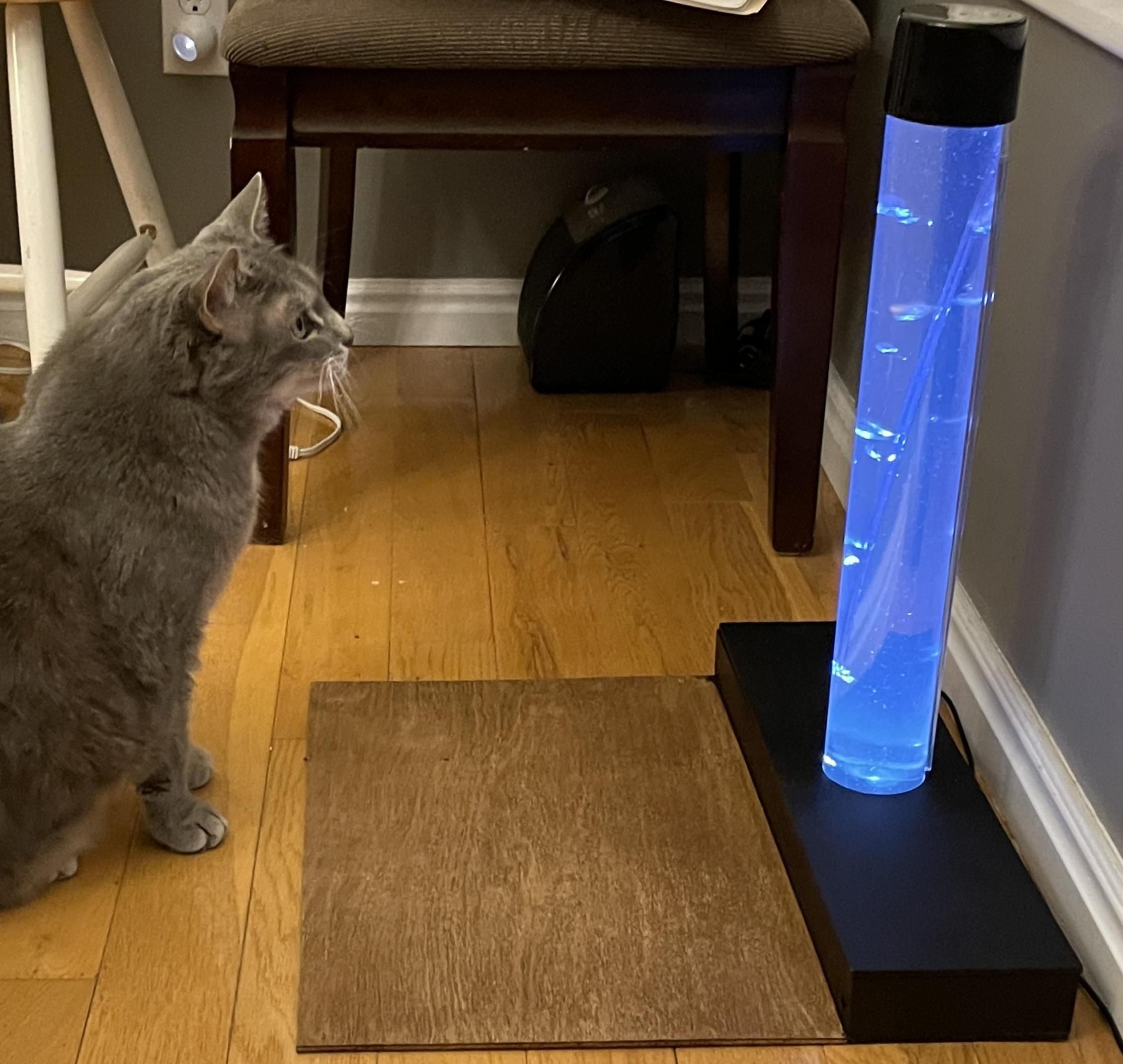 Pet Entertainment Bubble Tower With Laser Perimeter Sensing