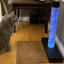 Pet Entertainment Bubble Tower With Laser Perimeter Sensing