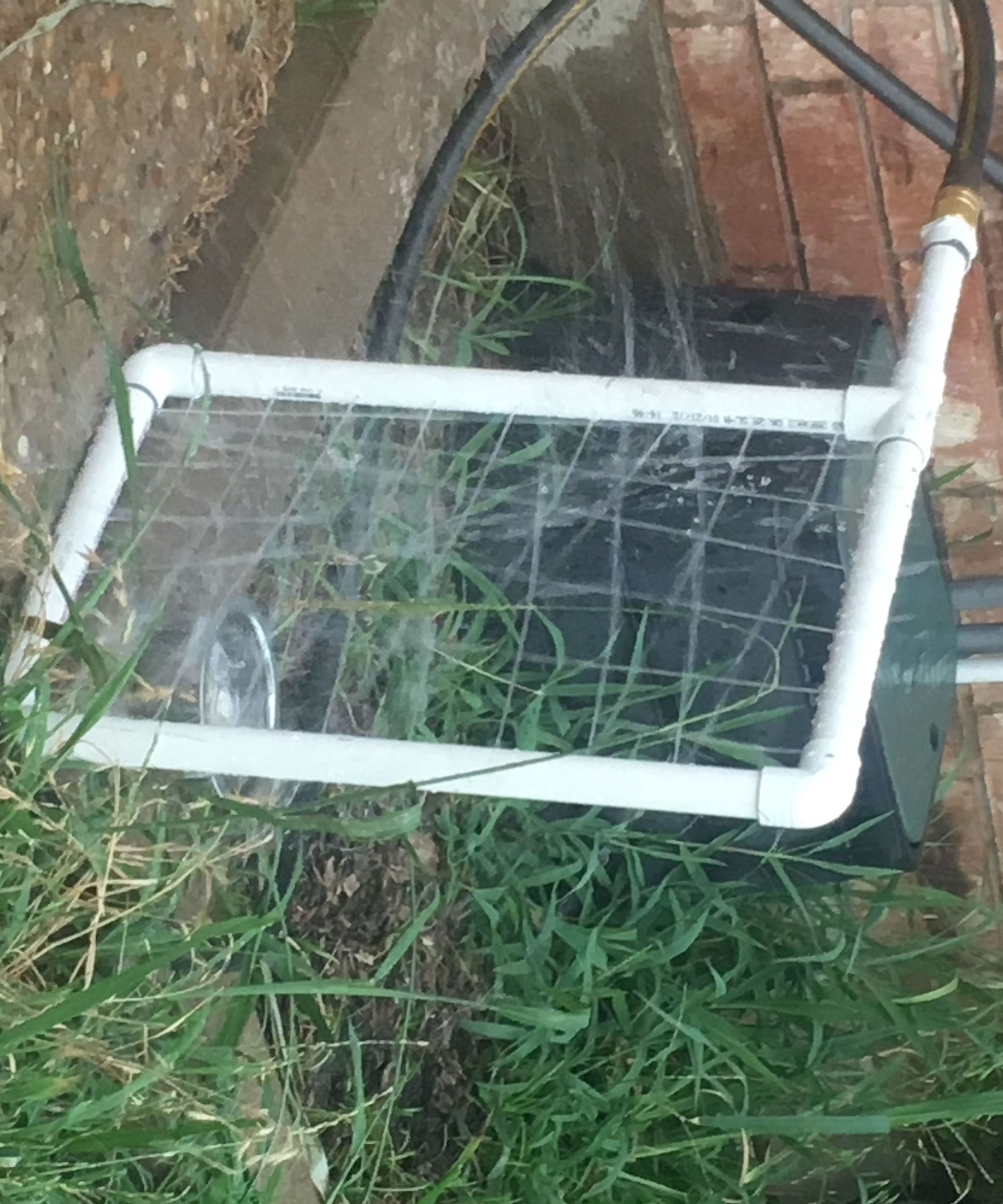 PVC Dog Washing Station!
