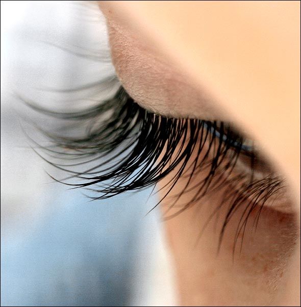 Jelly Lashes!