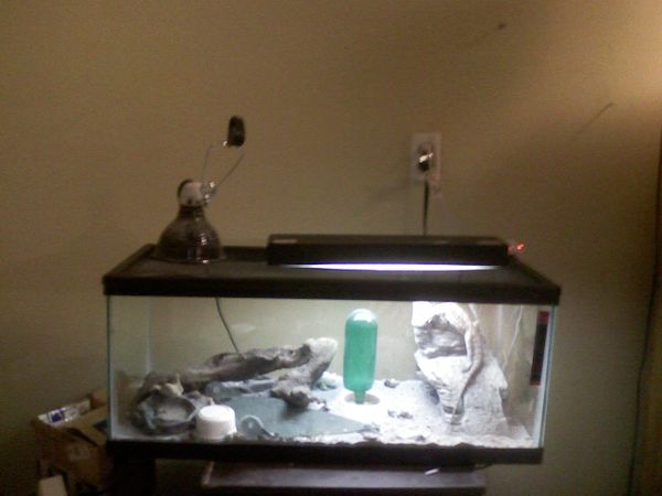 Carrying Handle for Terrarium