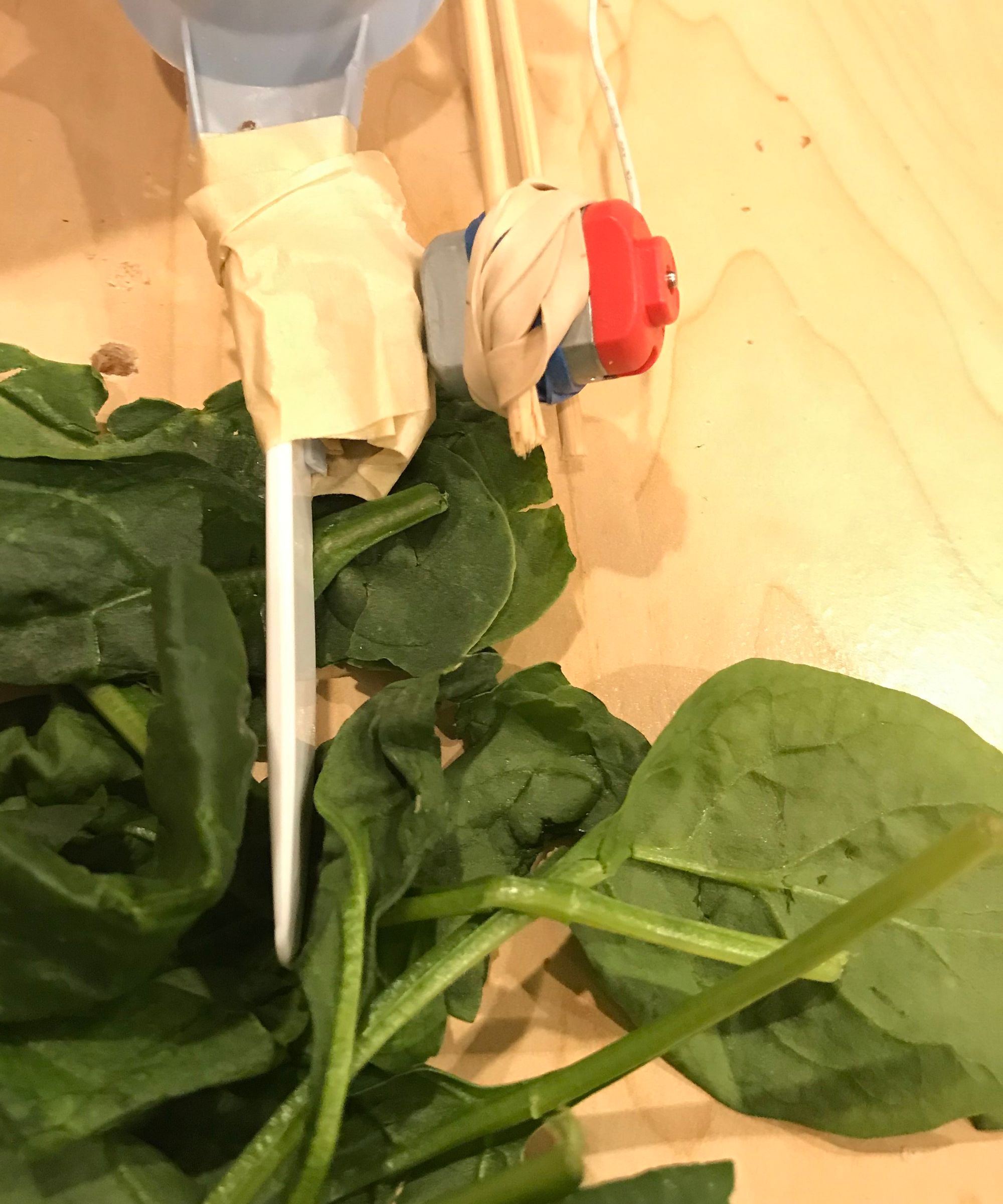 Saladuino ($14 Chef)