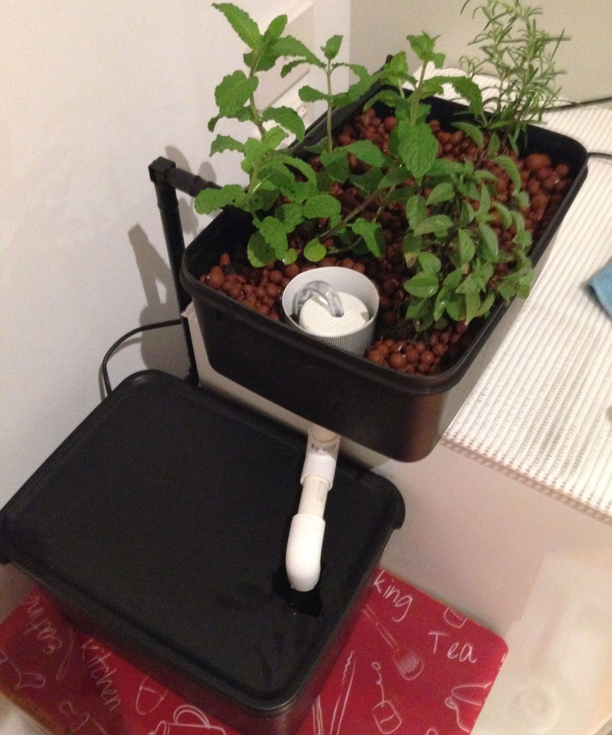 Mini Hydroponics Herb Garden