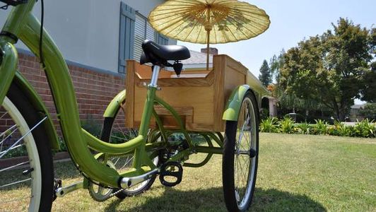 My Rickshaw