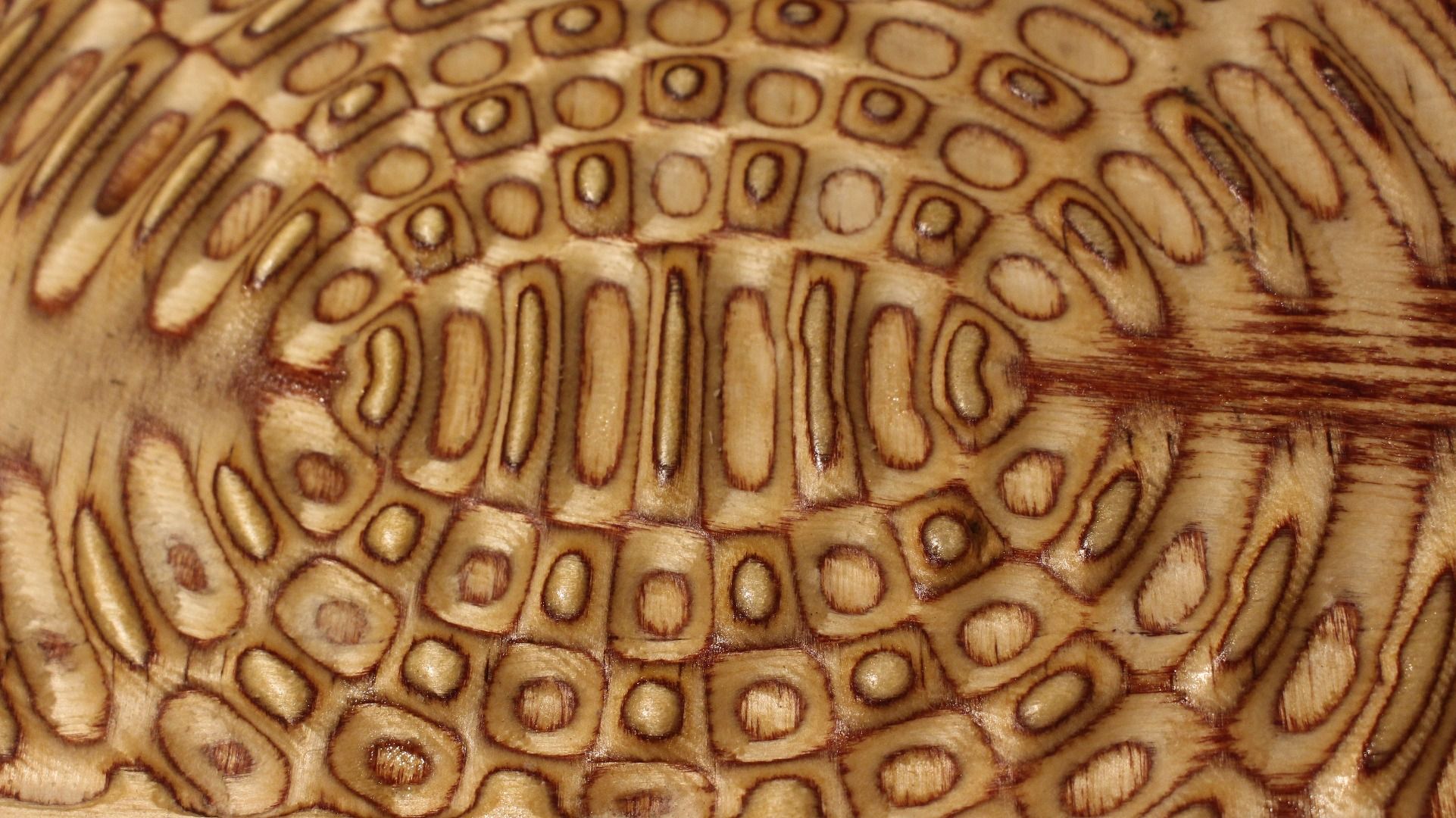 How to Carve Liquid Plywood Patterns 3 Steps (with Pictures