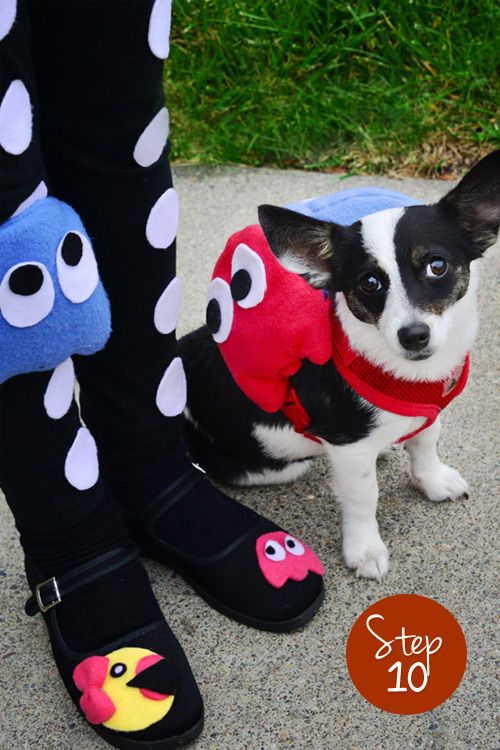 Halloween Costume for Dog: Pac-Man and Ghosts