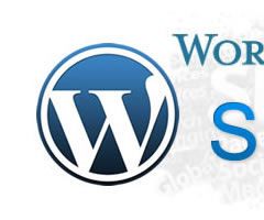 10 Optimization Benefits for Your Wordpress Website