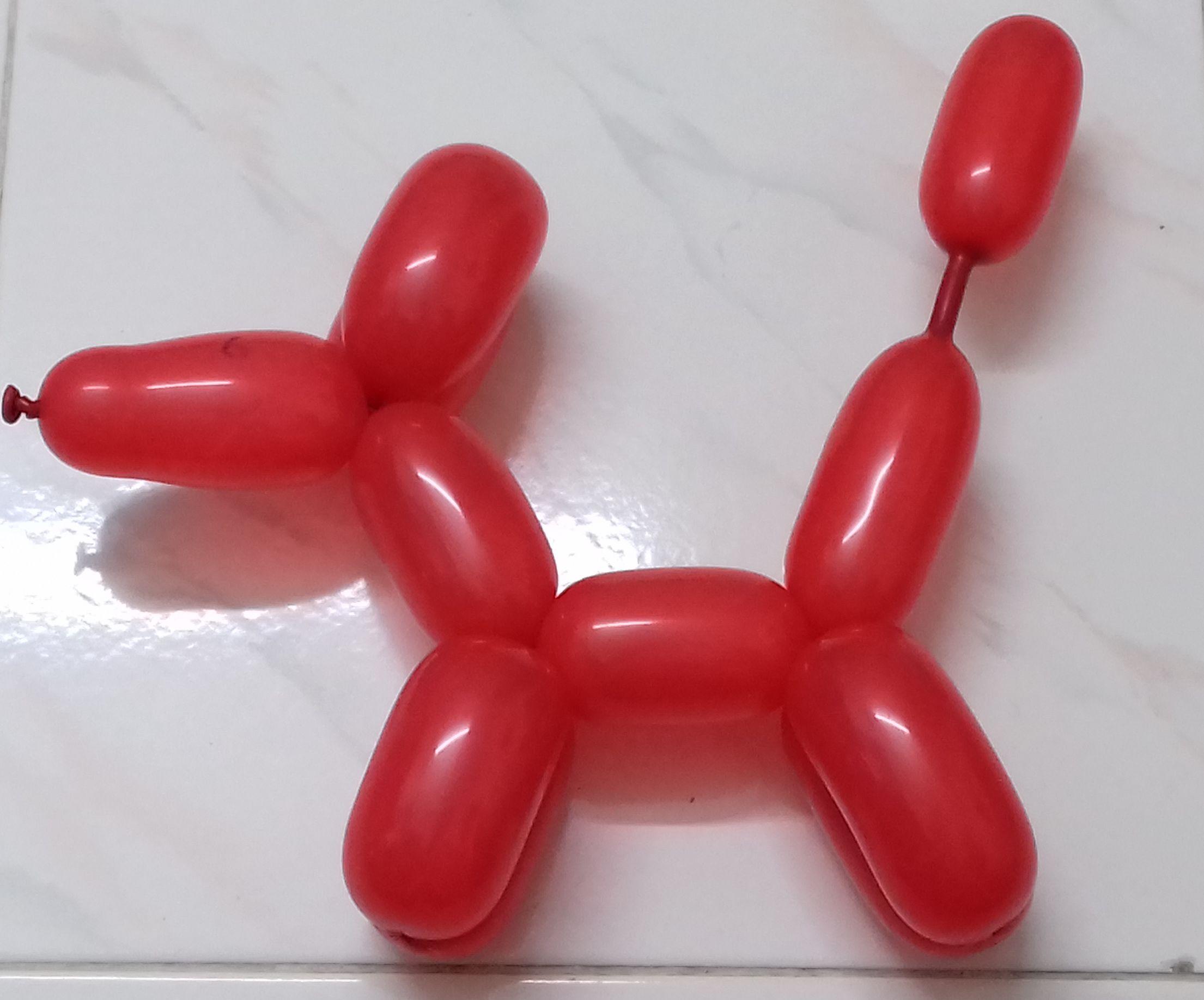 Balloon Twisting- Dog