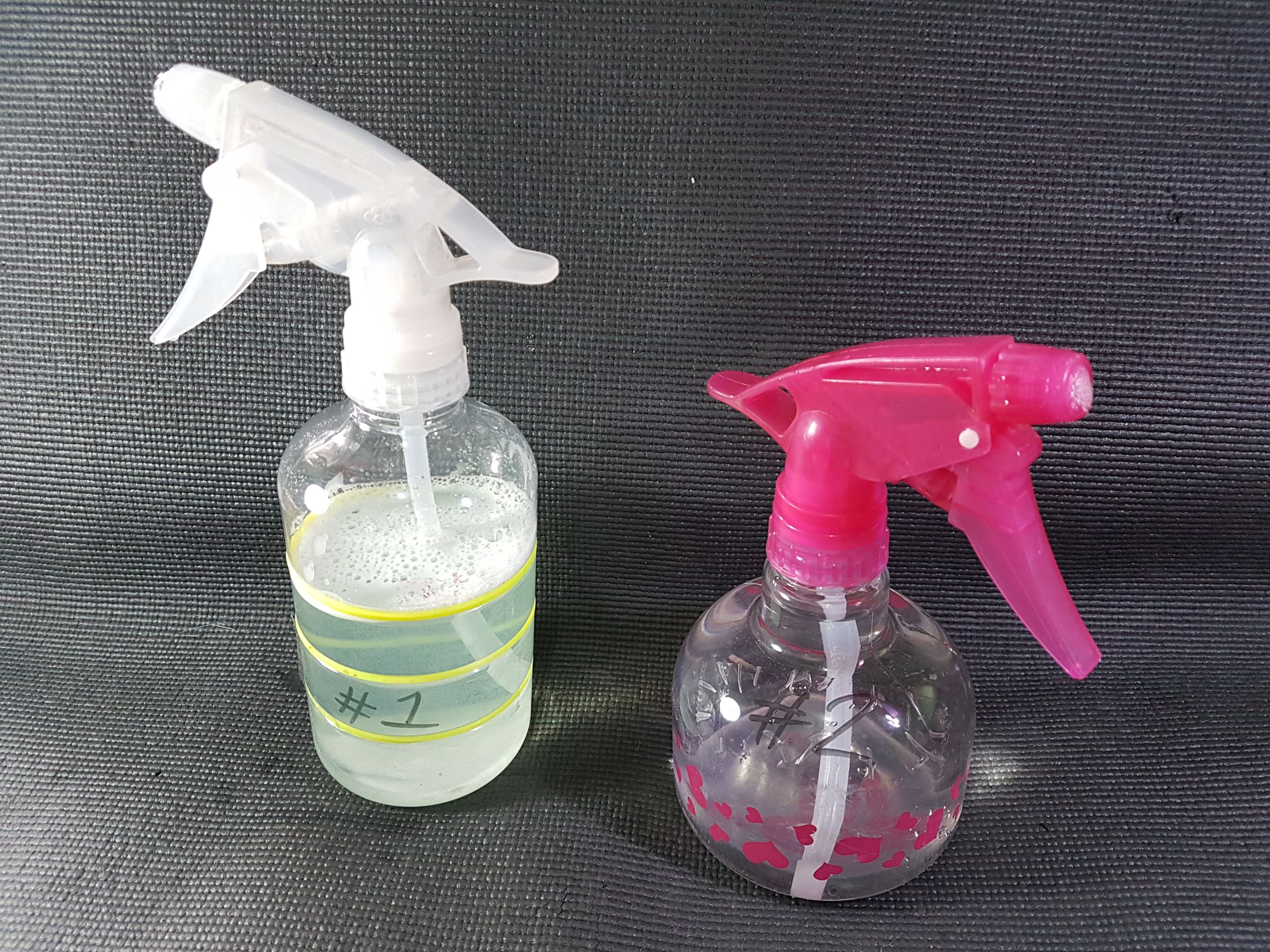 Pet Urine Disinfectant & Deodorizer 4 Steps (with Pictures