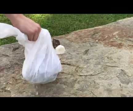 CRACK a Coconut Without Tools