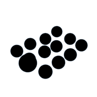 download {{ file.name }}