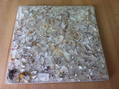 Save the Shells
