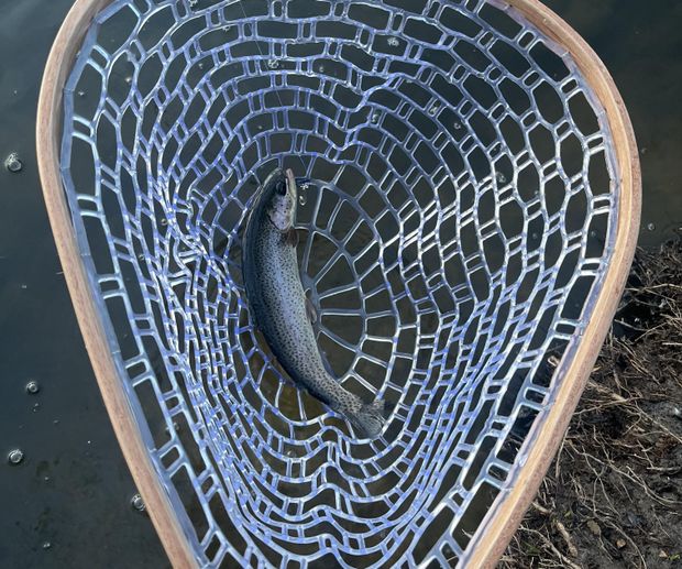 best finish for wood fishing net Guide Montana Net Co Refinishing Wood Landing Nets -