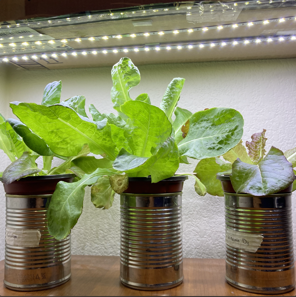 3D-Printed Arduino-Controlled Hydroponic Garden : 5 Steps (with ...