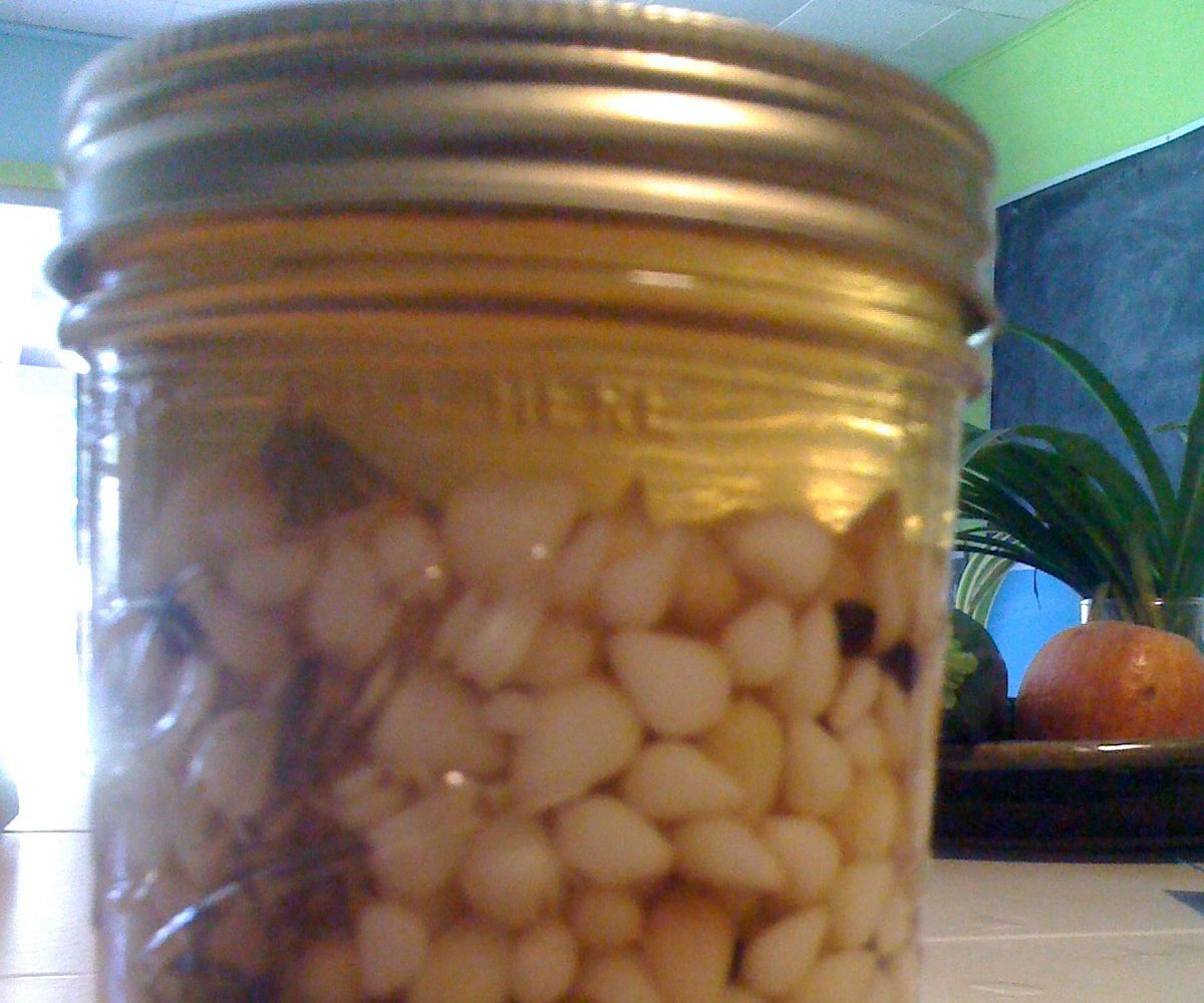 Pickled Garlic Bulbils