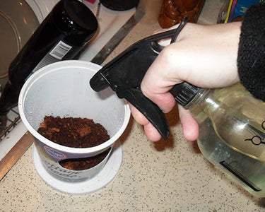 Alt for Arboreal Geckos/ Digging or Mini Nest Pit