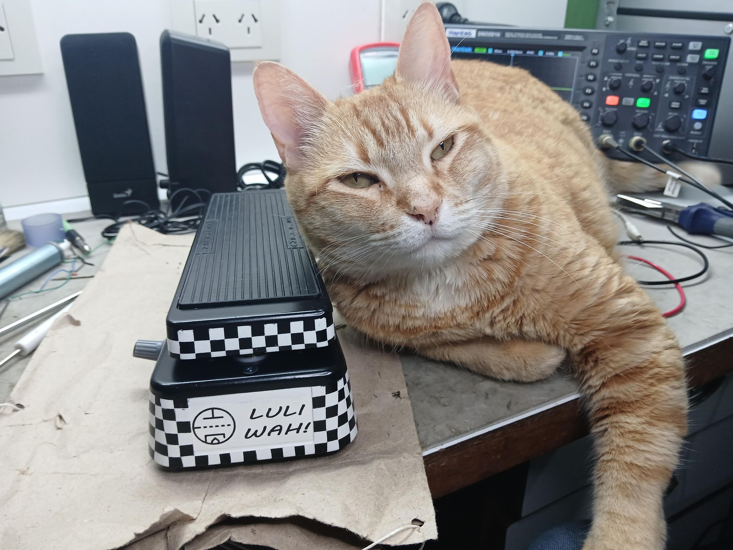 Building a Wah-Wah Effect Guitar Pedal