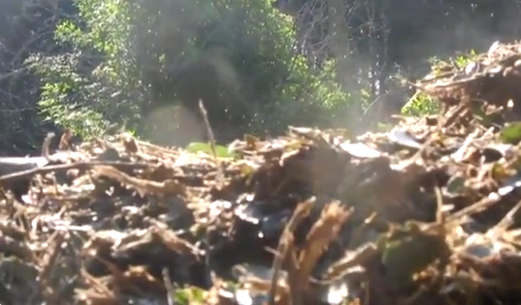 Hot Water From Compost