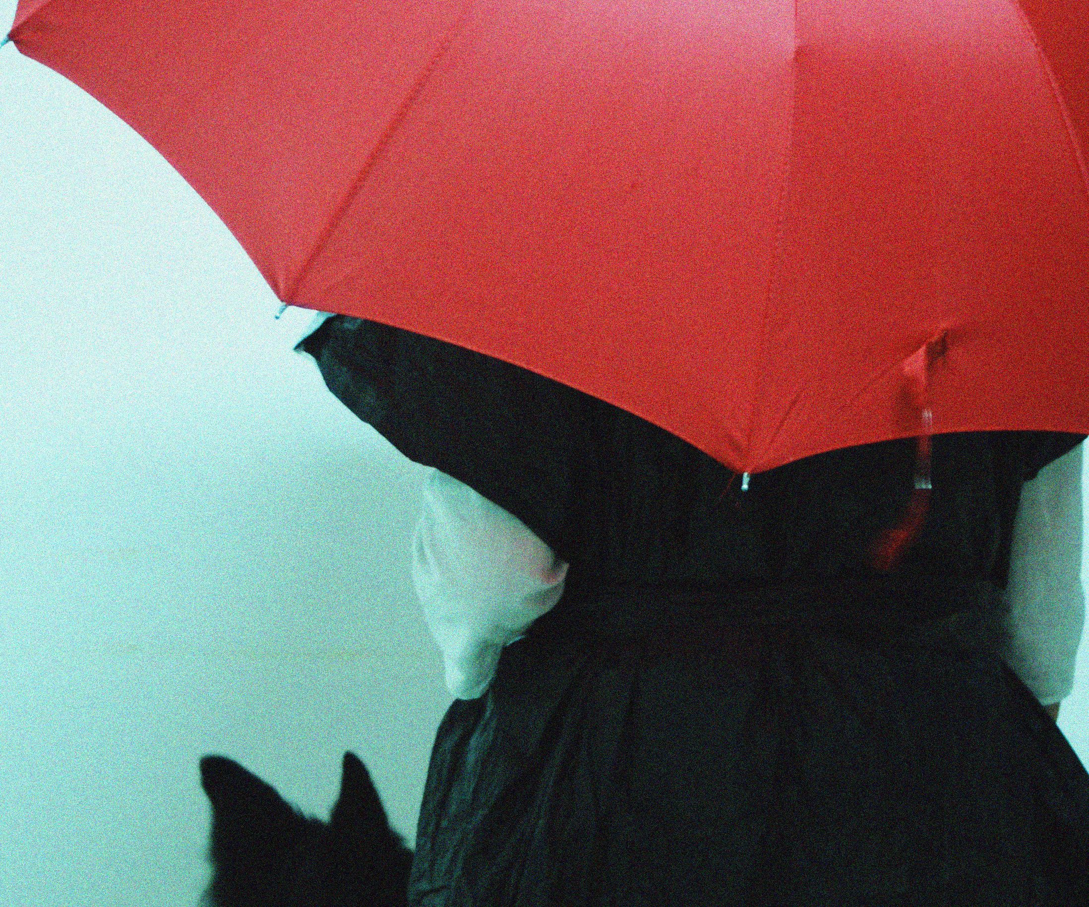 Trashbag Raincoat for Dog & Owner