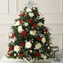 Learn How to Make a Boxwood Tree