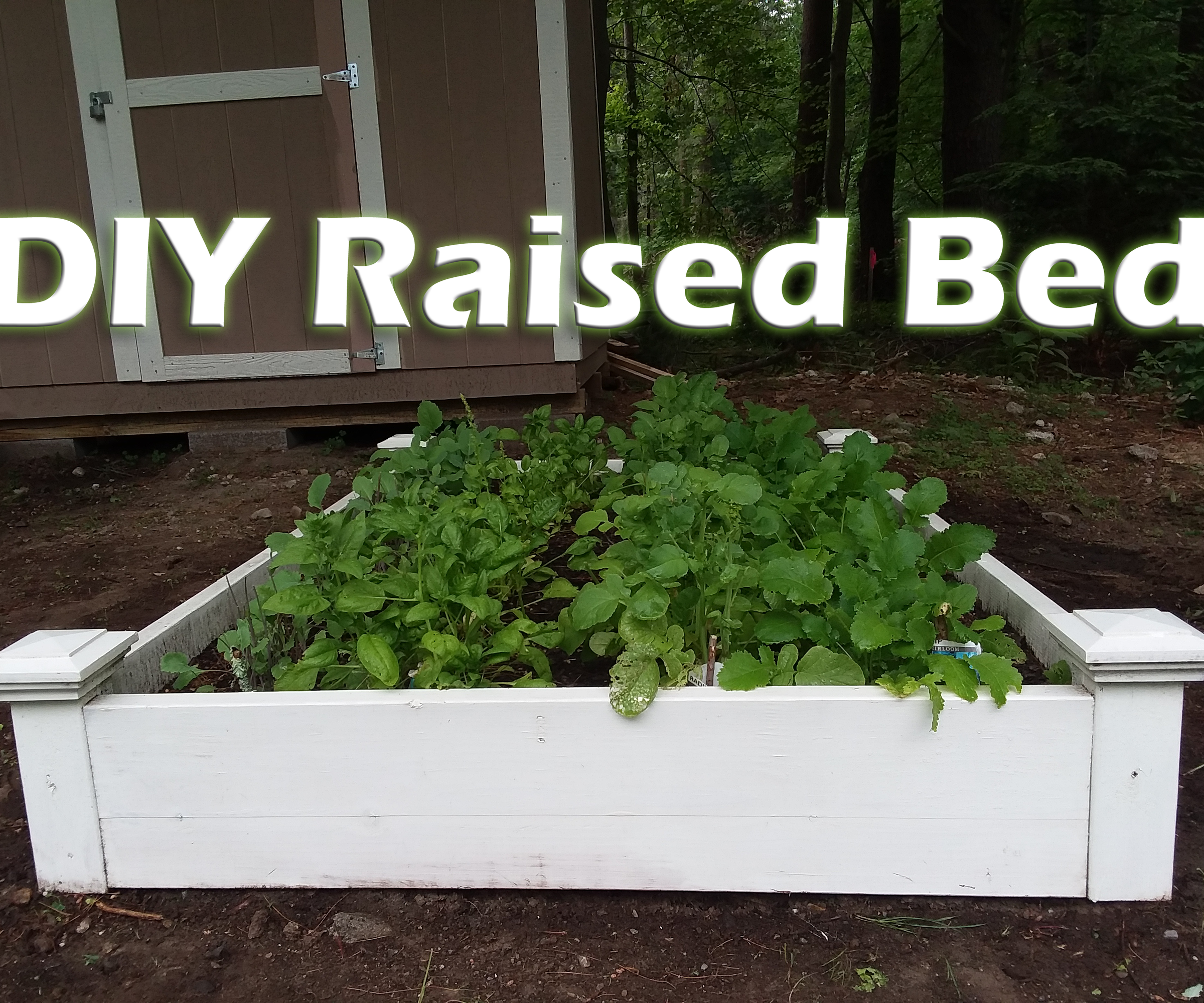 Easy DIY Raised Garden Beds