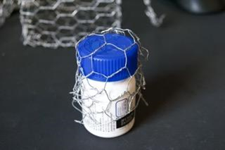 Construction of the Birds Body