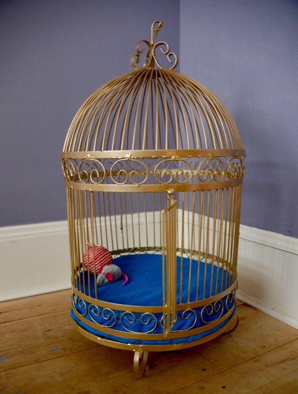 Bird Cage