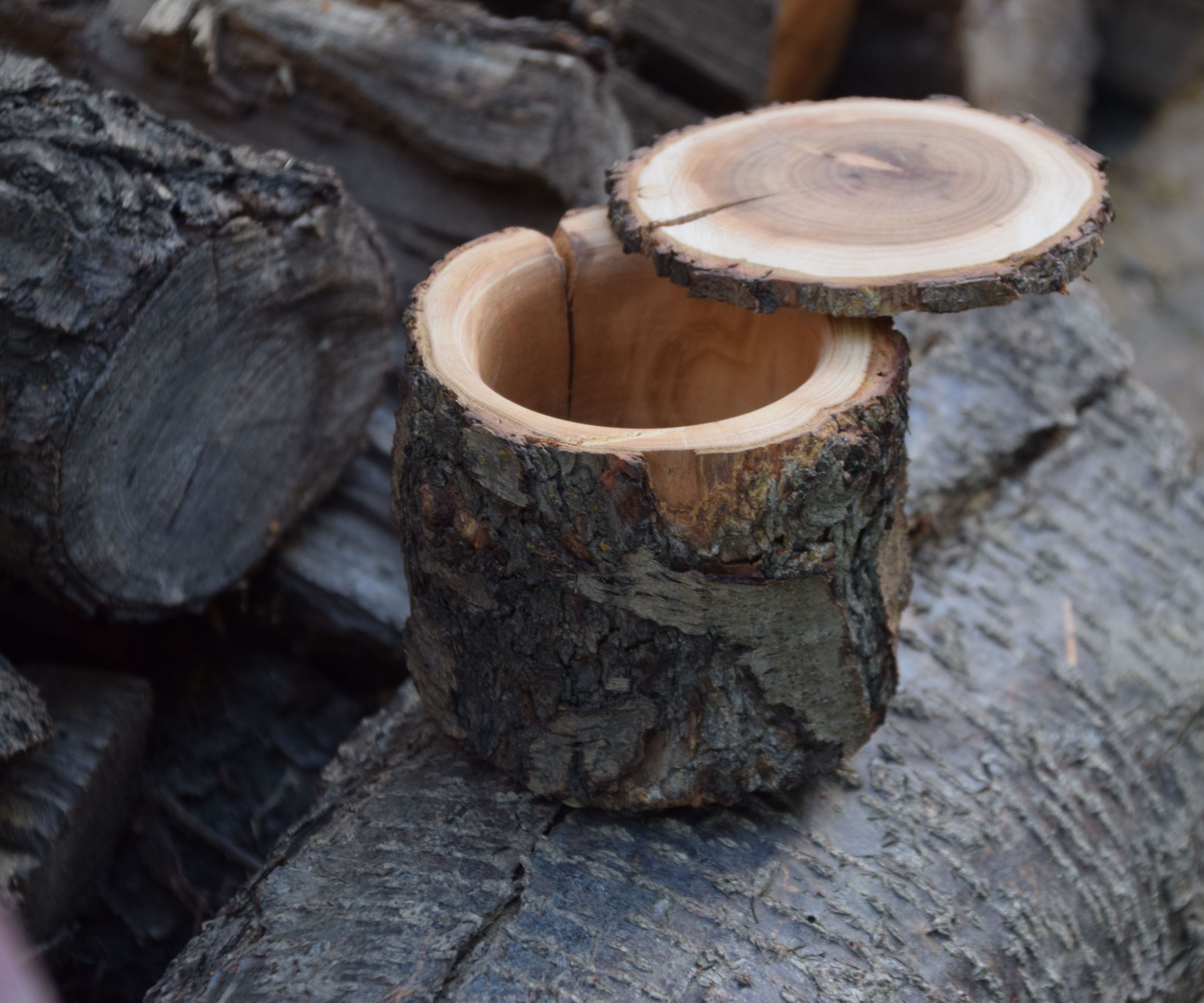 Firewood to Natural Edge Bowl