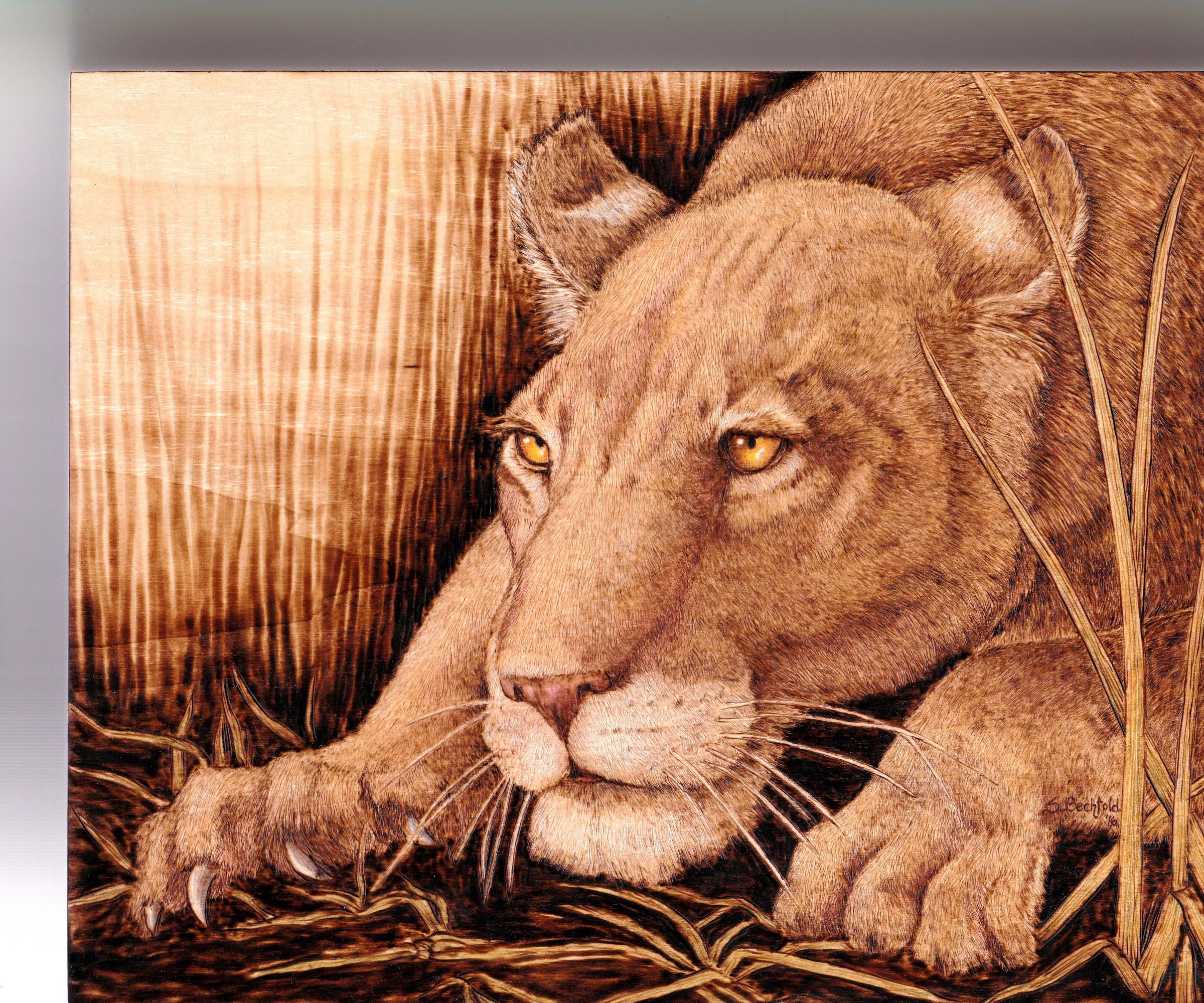 Pyrography: How to Avoid “Muddy” Woodburnings 