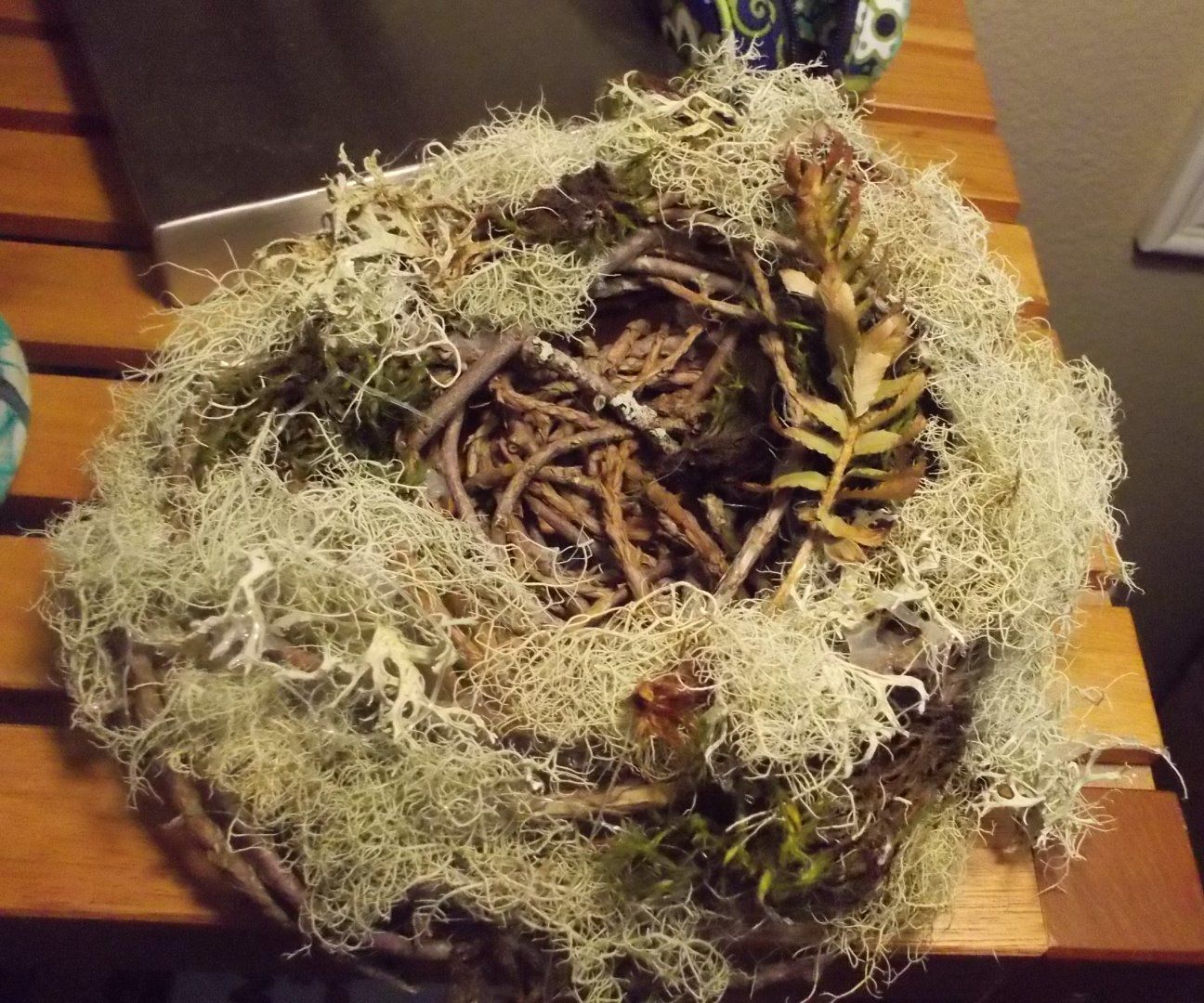 DIY Birds Nest 