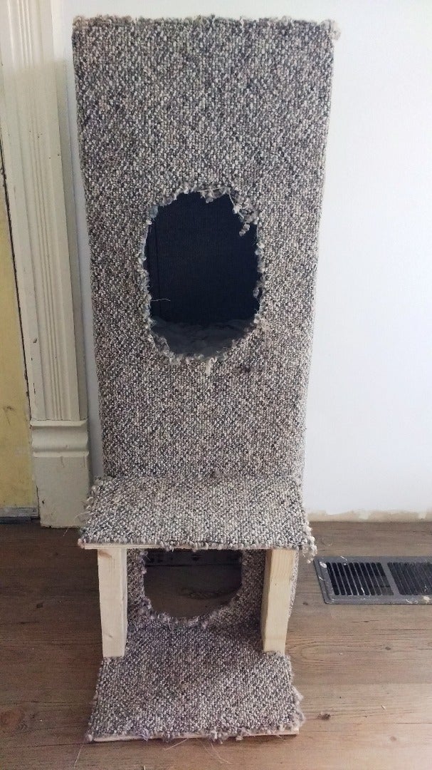 Design a Kitty Condo!