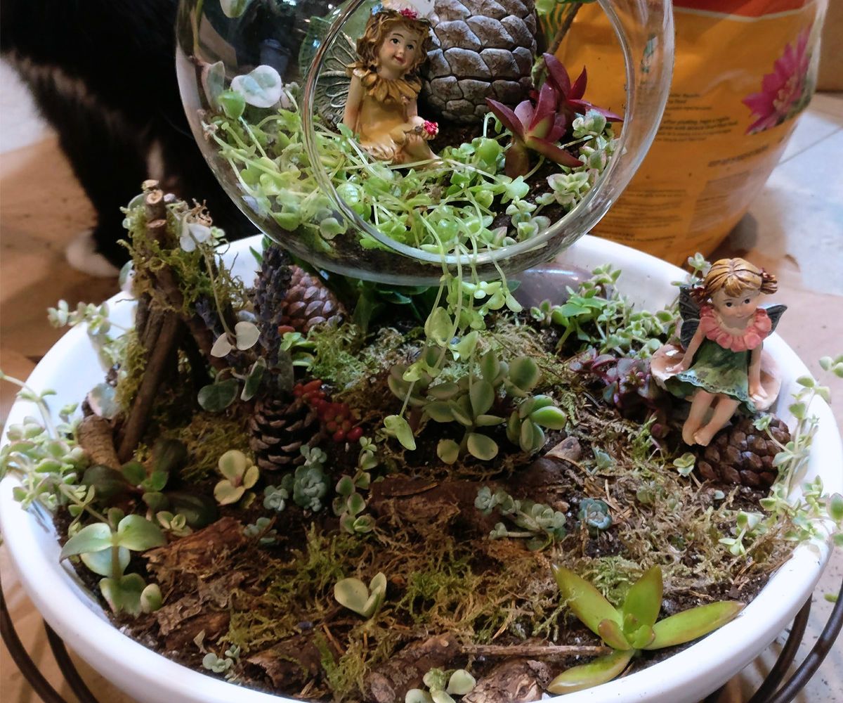 Fruit Basket Fairies Garden