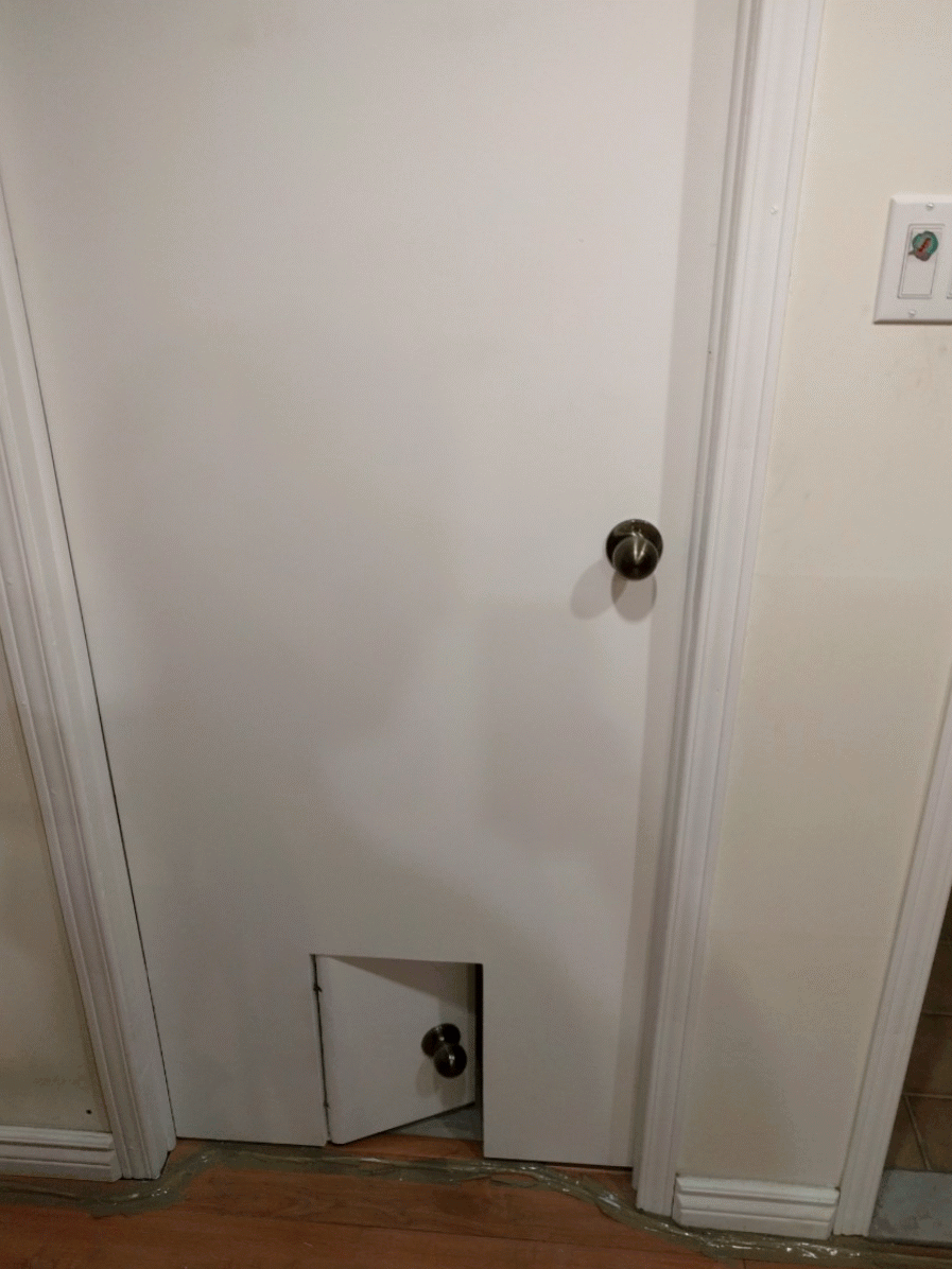 Realistic Pet Door