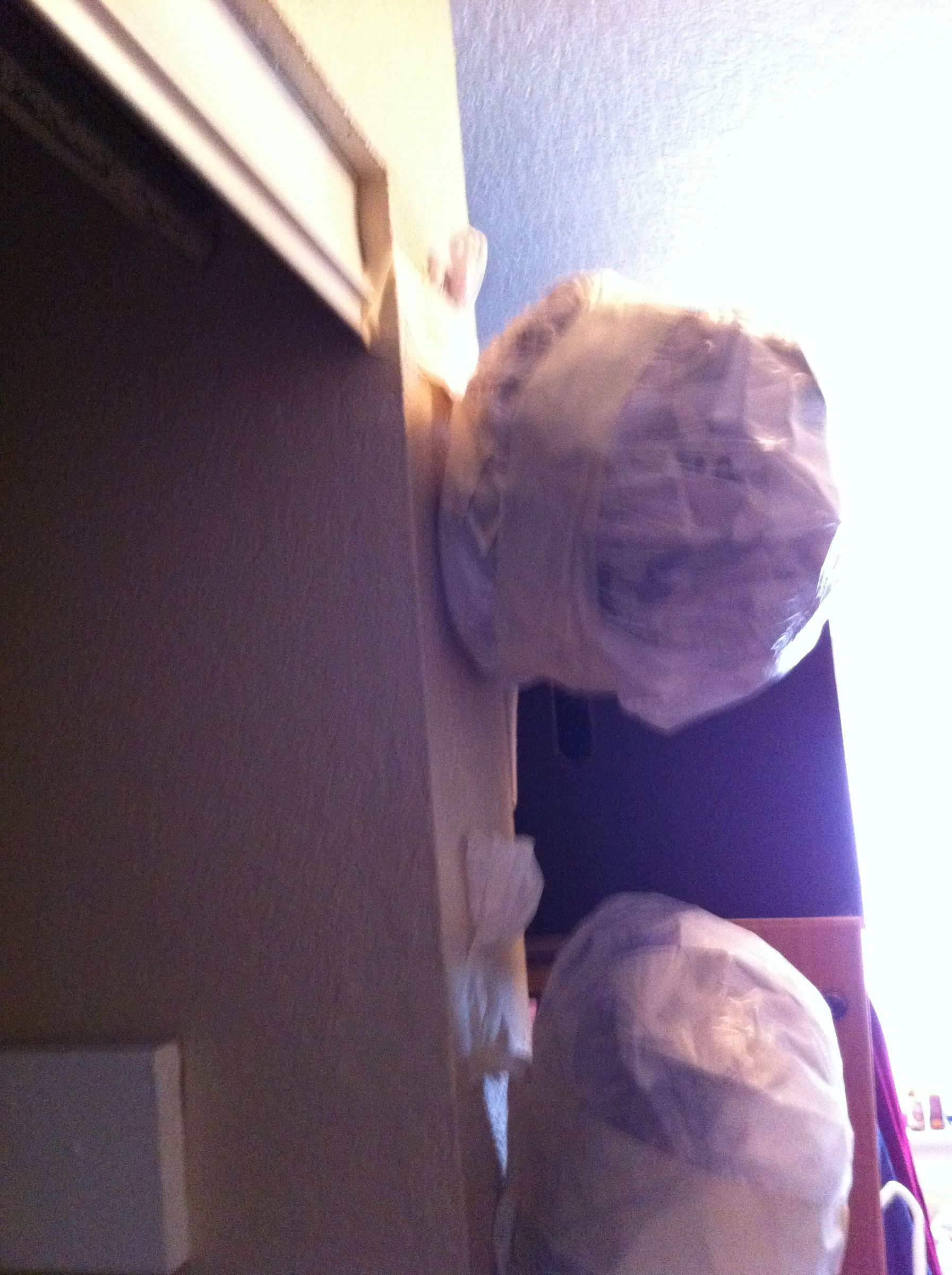 How to Make a Wig Stand