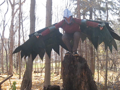Pterodactyl Costume