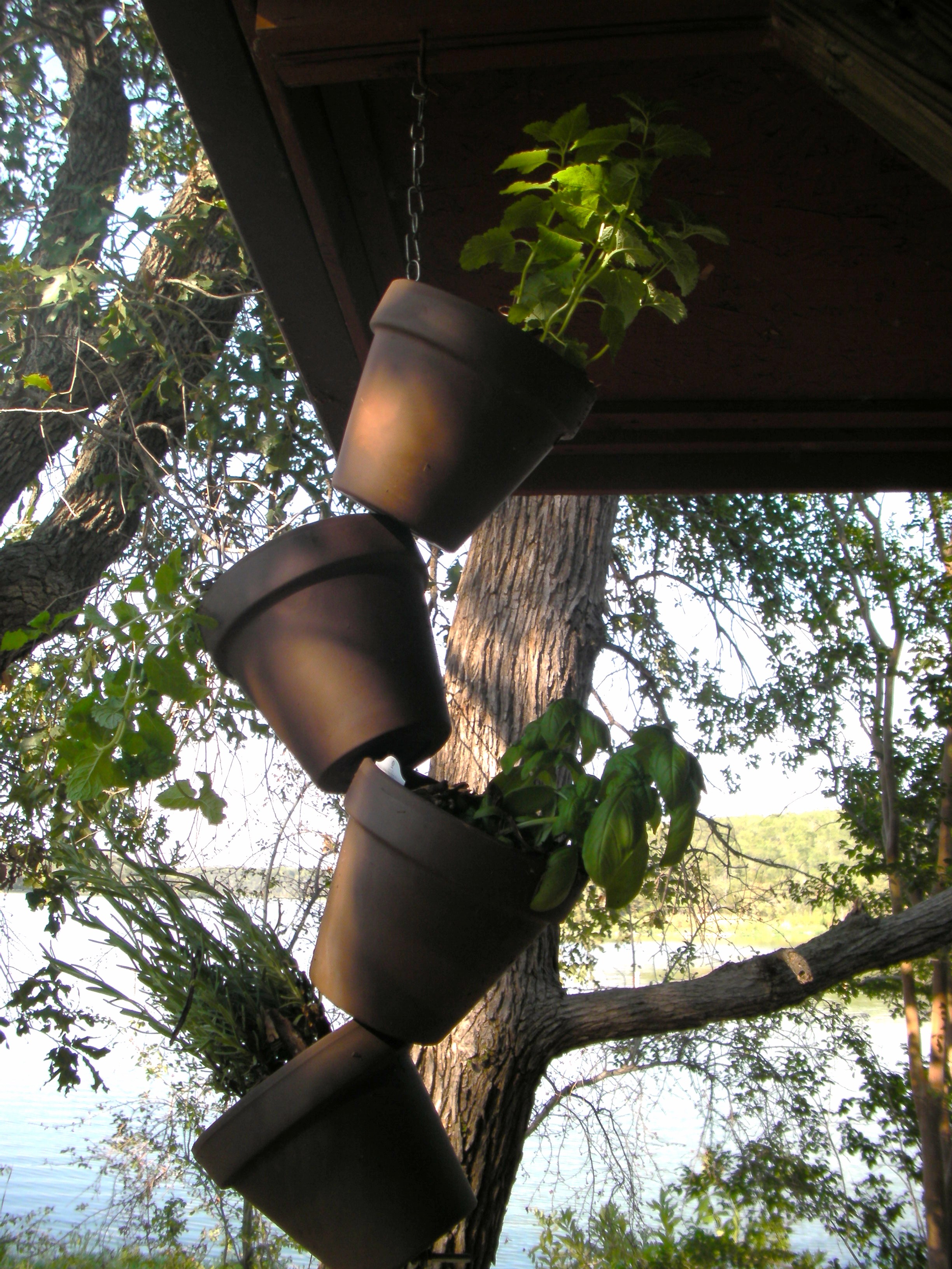 Make a Hanging Garden