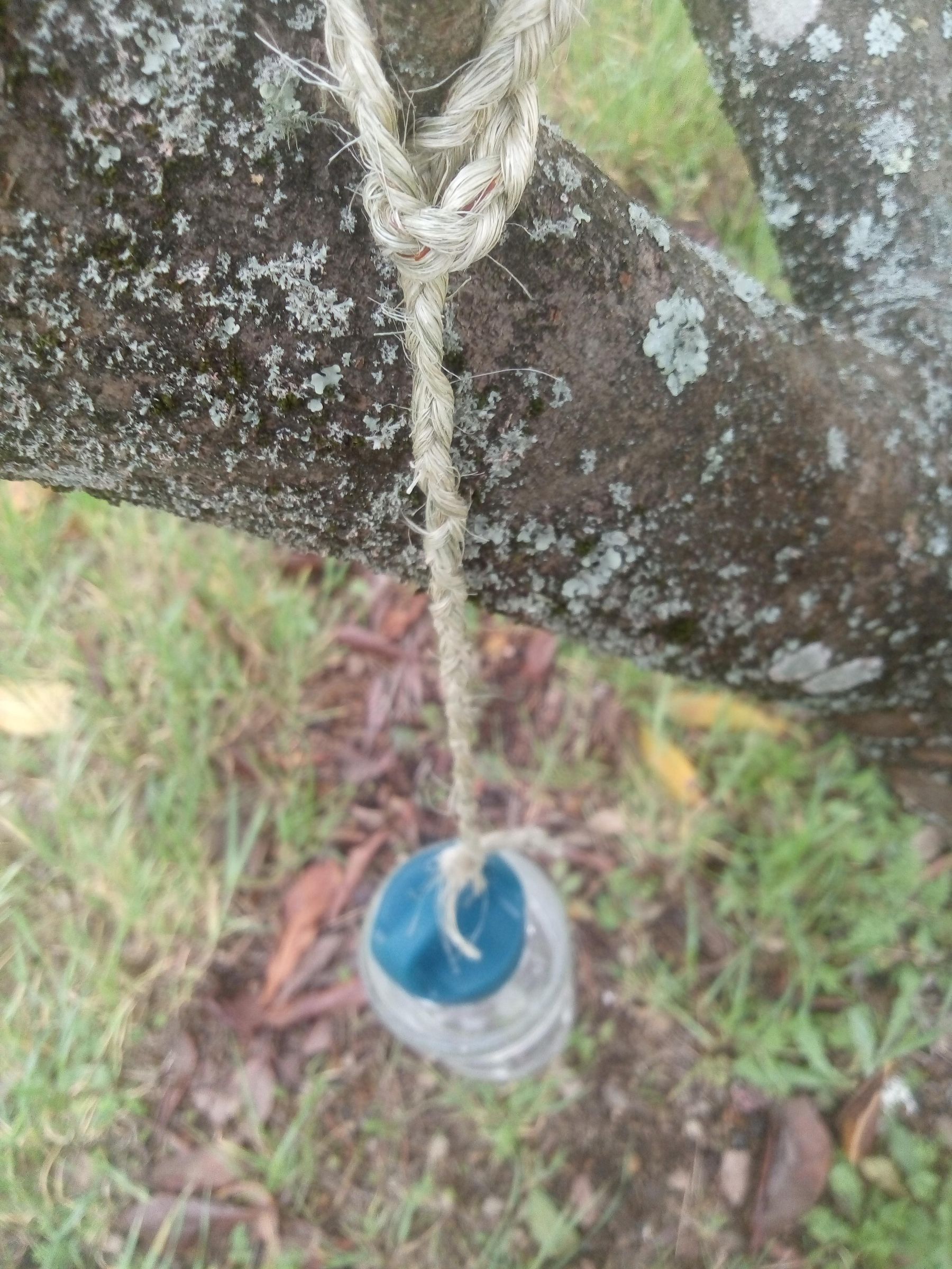 How to Make Rope / String With Natural Plant Fibers : 6 Steps (with ...