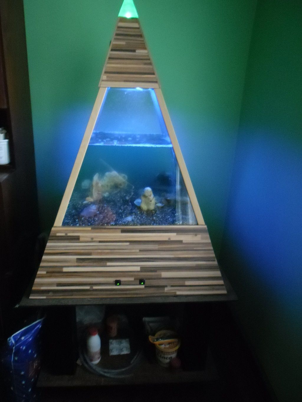 Aquarium Pyramid Model