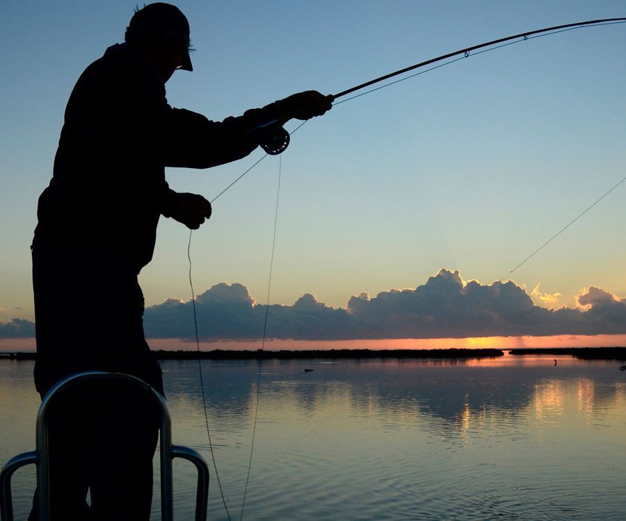 Fishing for Cures?