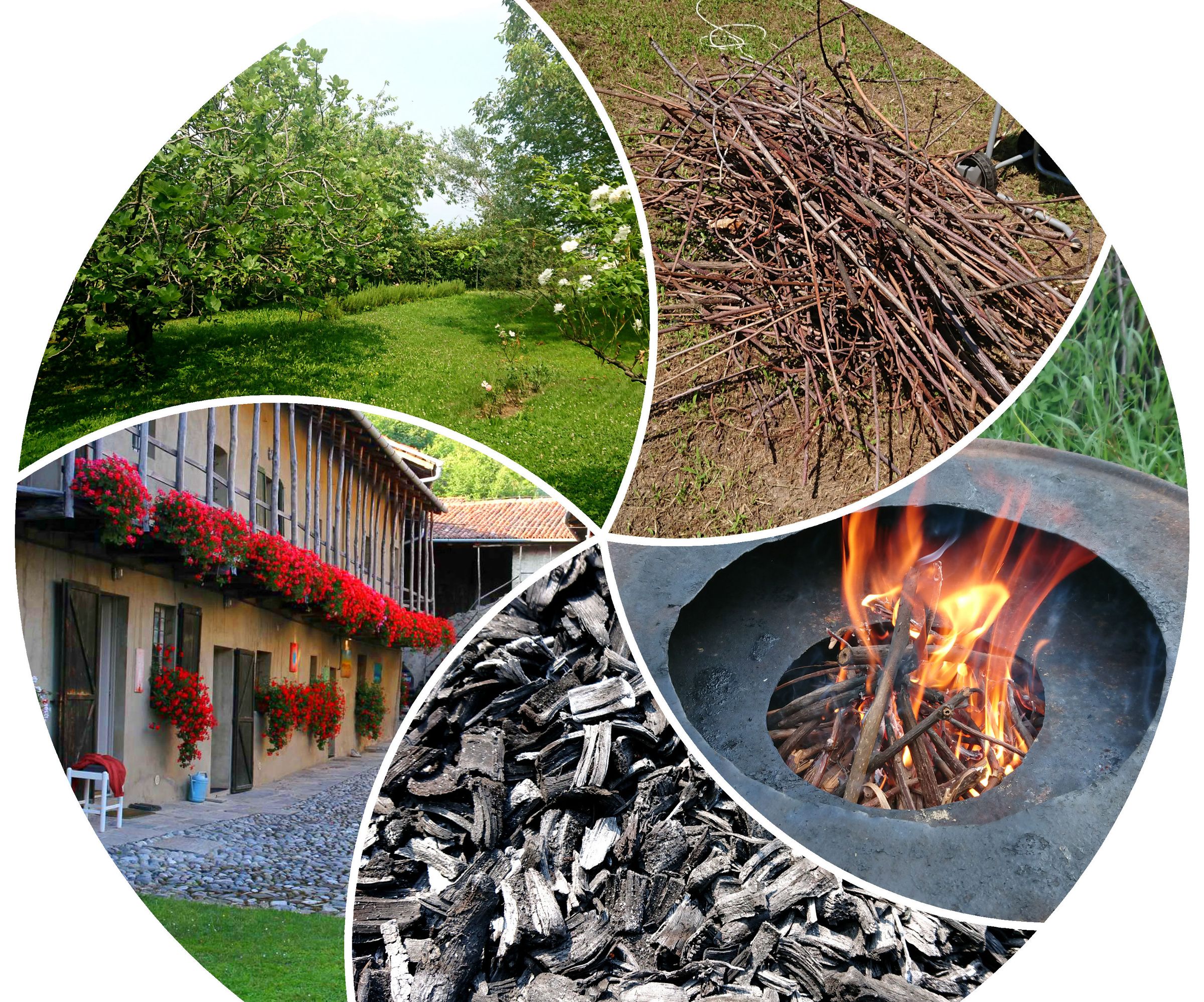 Your Own Carbon Cycle