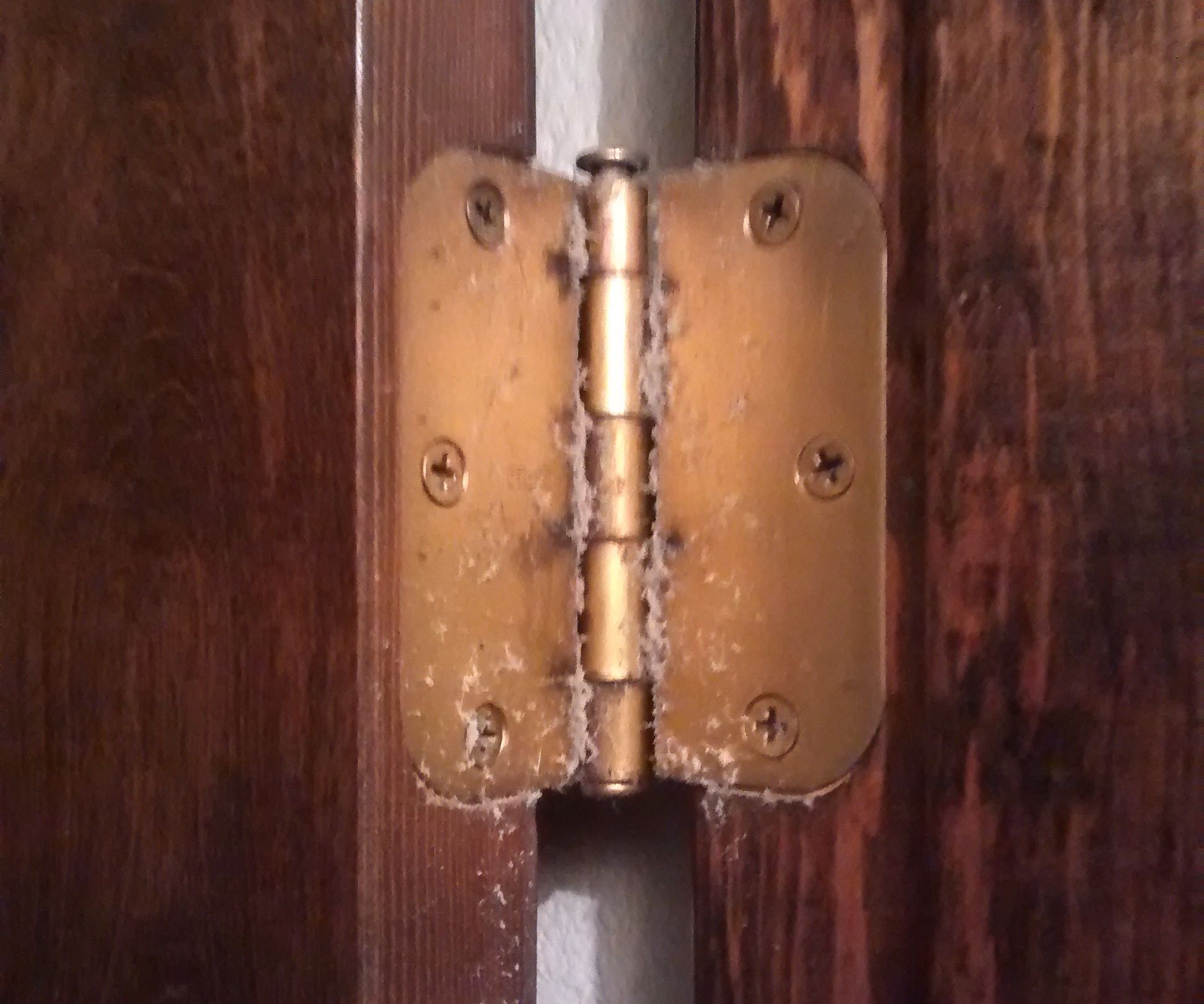 Freakishly Quick and Easy Door Hinge Replacement