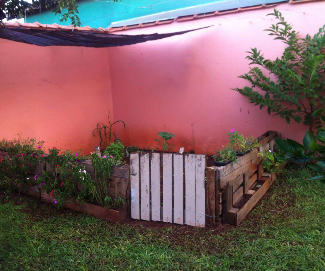 Organic Garden in Your Garden