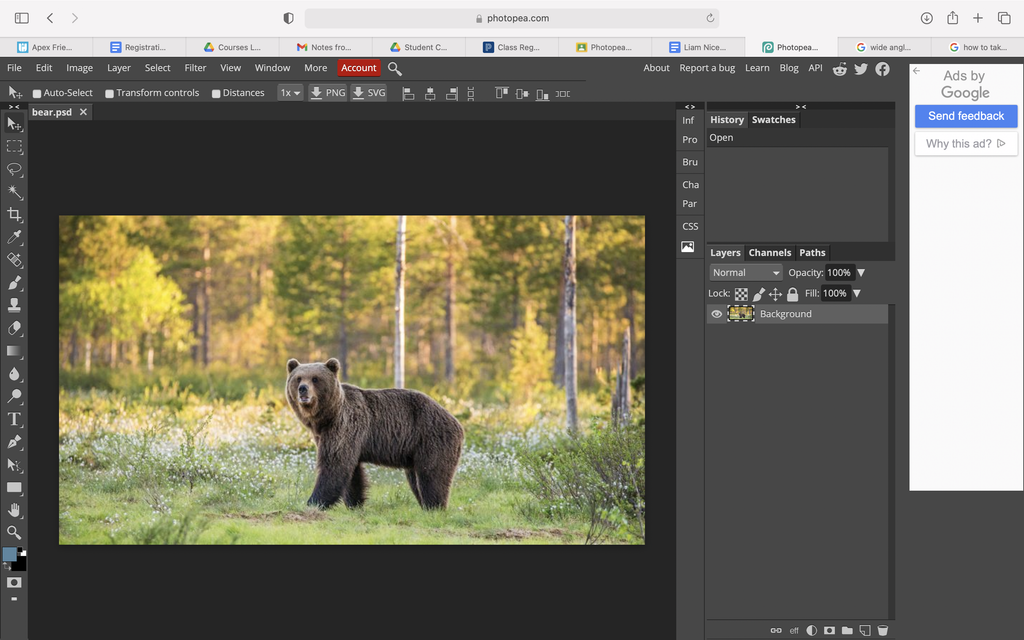 Photopea Tutorial : 8 Steps - Instructables