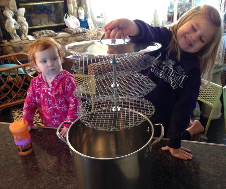 EZ Stovetop Dehydrator