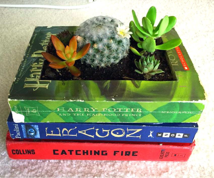 How to Create a Book Planter