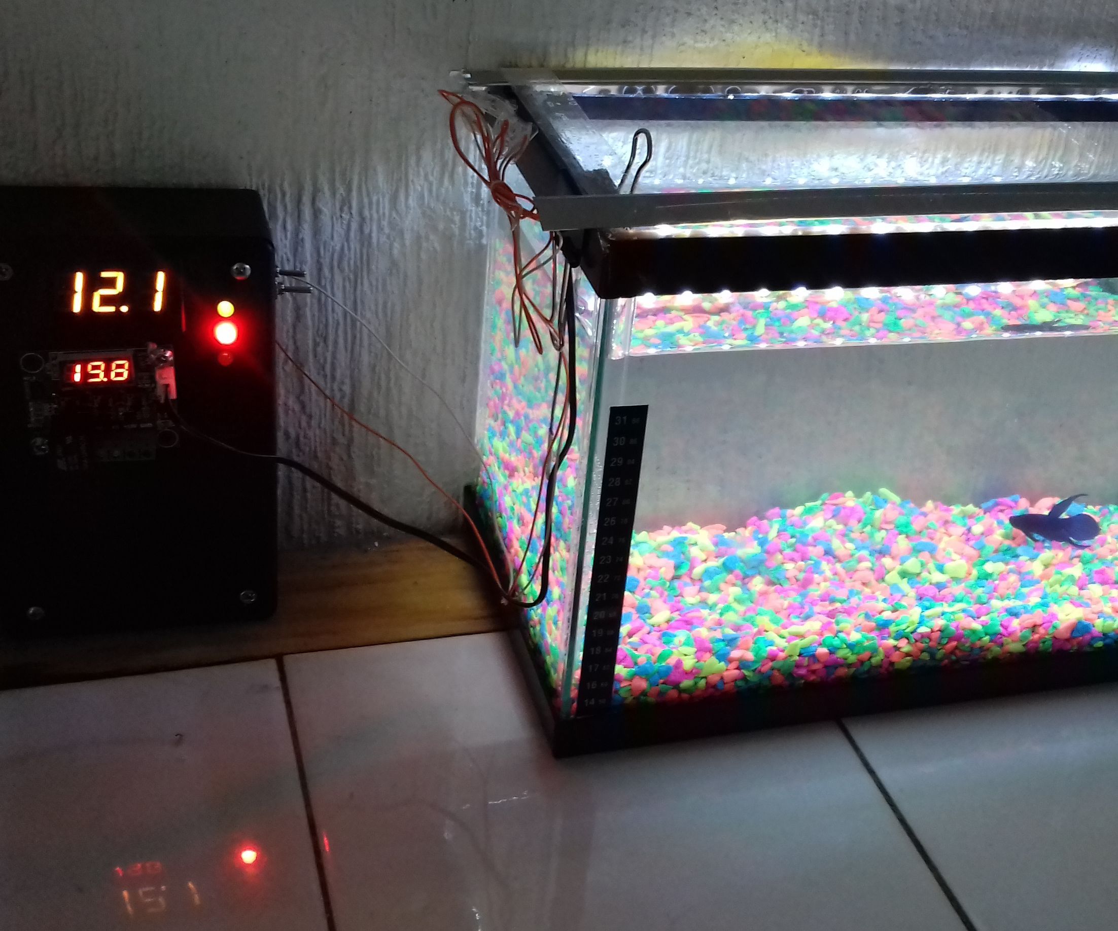 Automatic Temperature Controller for FishBowl (Controlador Automatico De Temperatura Para Pecera)